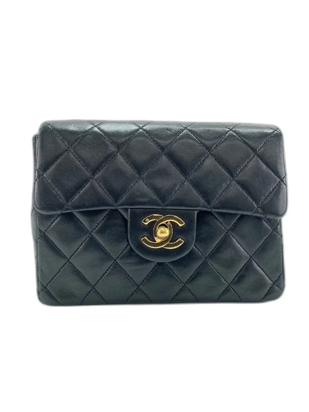 Chanel Shoulder Bag Mini Quilted